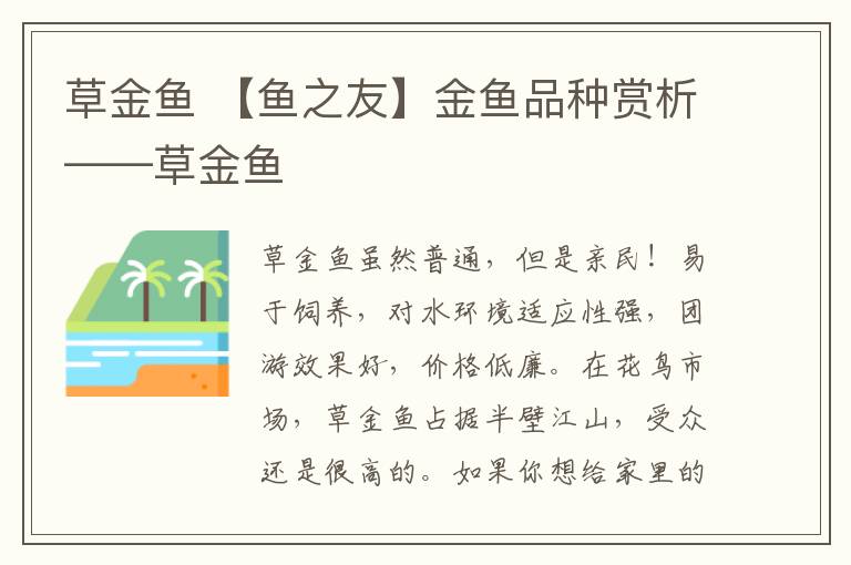 草金魚 【魚之友】金魚品種賞析——草金魚