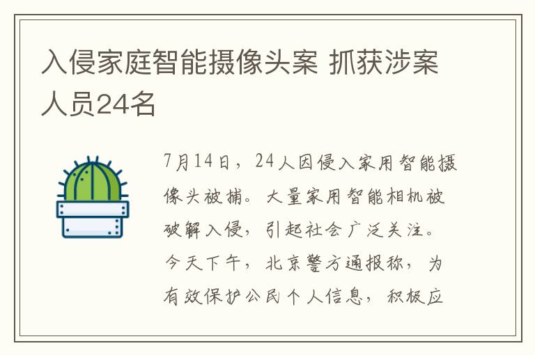 入侵家庭智能攝像頭案 抓獲涉案人員24名