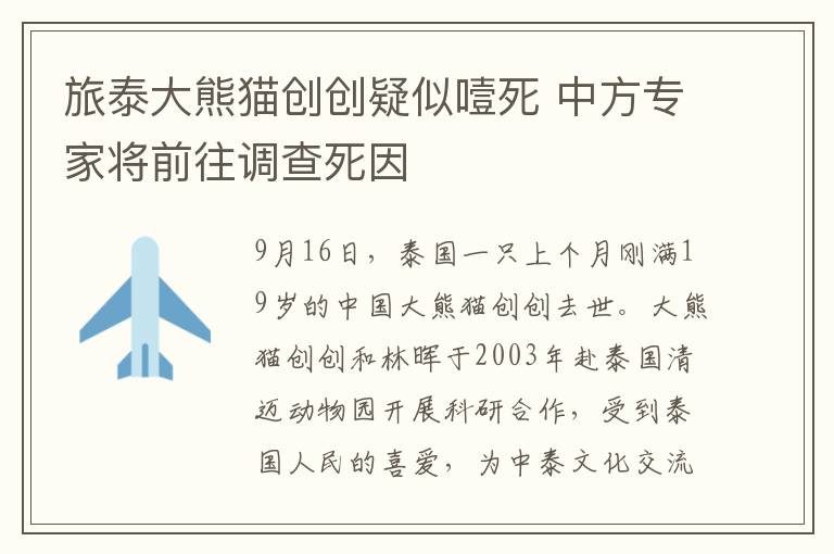 旅泰大熊貓創(chuàng)創(chuàng)疑似噎死 中方專家將前往調(diào)查死因