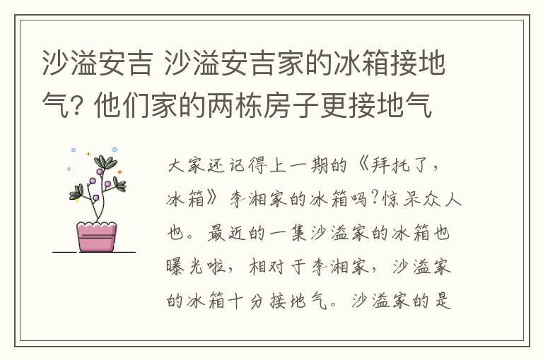 沙溢安吉 沙溢安吉家的冰箱接地氣? 他們家的兩棟房子更接地氣!