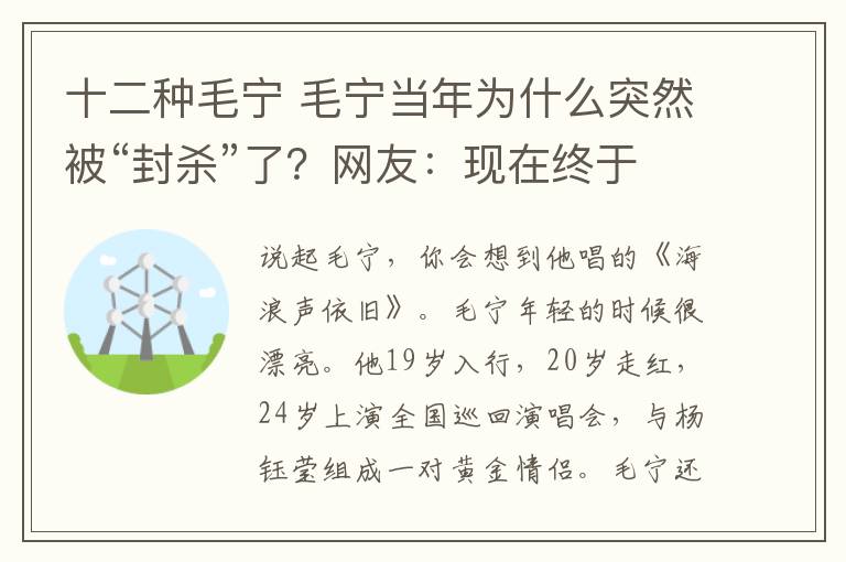 十二種毛寧 毛寧當(dāng)年為什么突然被“封殺”了？網(wǎng)友：現(xiàn)在終于知道了