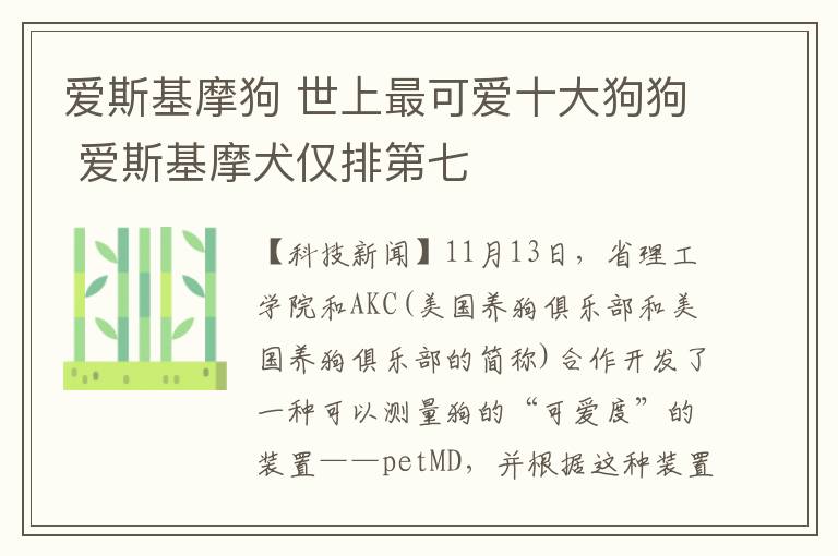 愛斯基摩狗 世上最可愛十大狗狗 愛斯基摩犬僅排第七