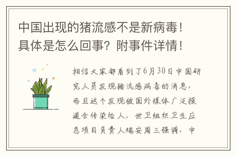 中國出現(xiàn)的豬流感不是新病毒！具體是怎么回事？附事件詳情！