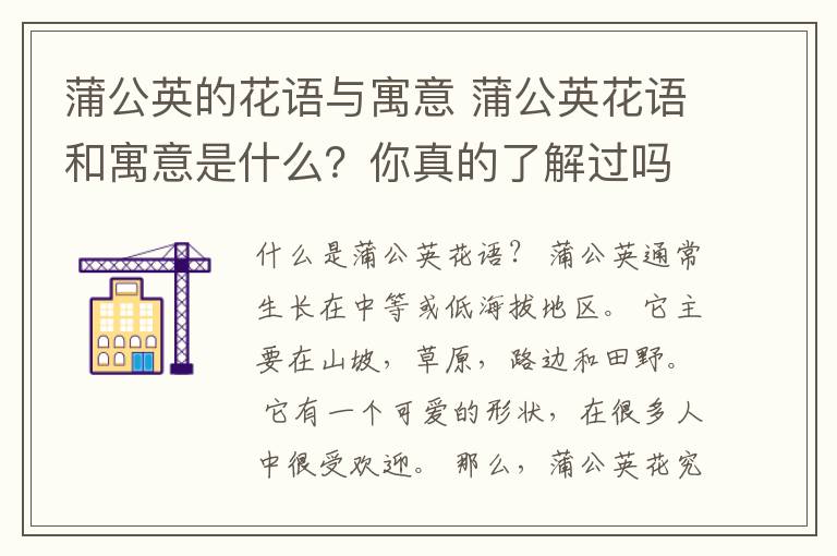 蒲公英的花語與寓意 蒲公英花語和寓意是什么？你真的了解過嗎？