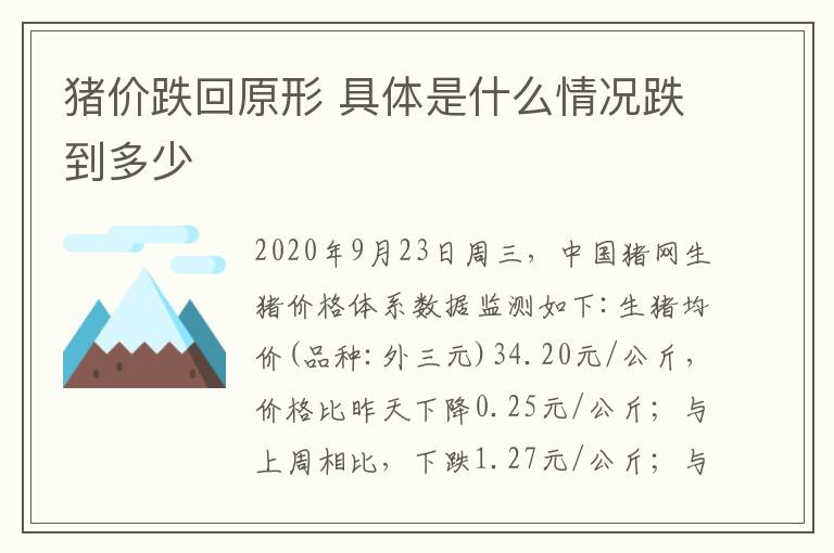 豬價(jià)跌回原形 具體是什么情況跌到多少