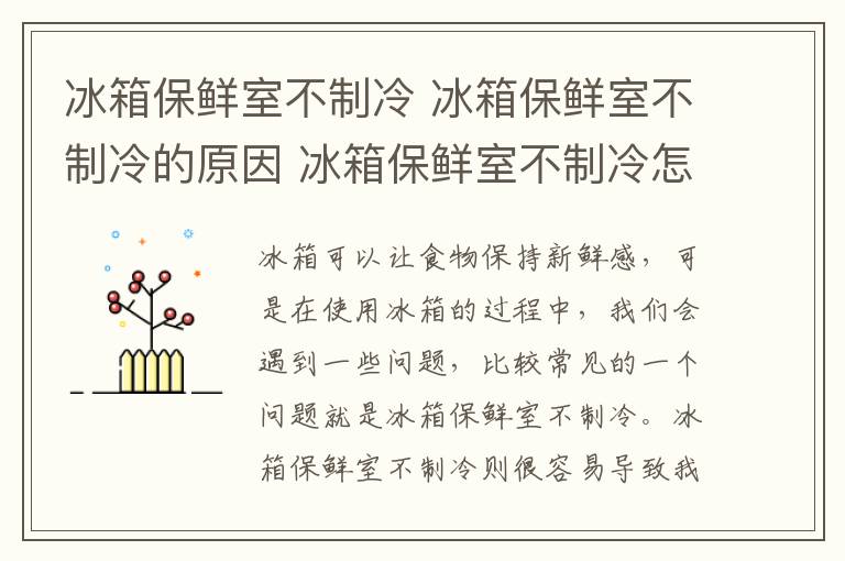 冰箱保鮮室不制冷 冰箱保鮮室不制冷的原因 冰箱保鮮室不制冷怎么解決