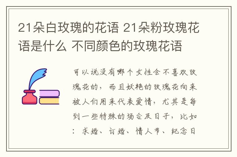 21朵白玫瑰的花語 21朵粉玫瑰花語是什么 不同顏色的玫瑰花語