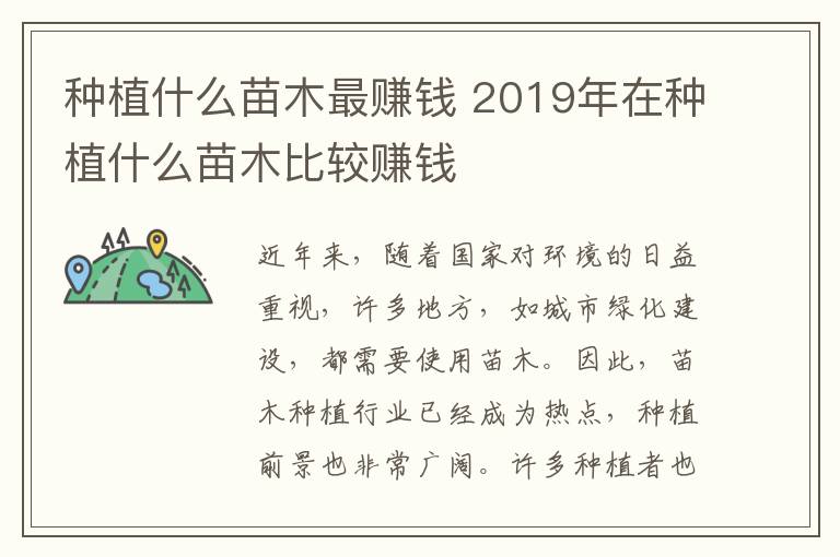 種植什么苗木最賺錢 2019年在種植什么苗木比較賺錢