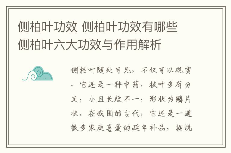 側(cè)柏葉功效 側(cè)柏葉功效有哪些 側(cè)柏葉六大功效與作用解析