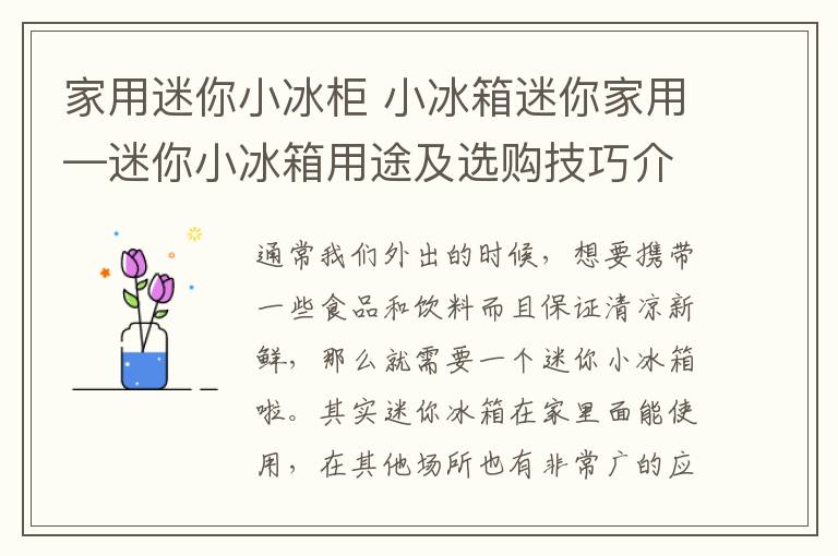 家用迷你小冰柜 小冰箱迷你家用—迷你小冰箱用途及選購(gòu)技巧介紹