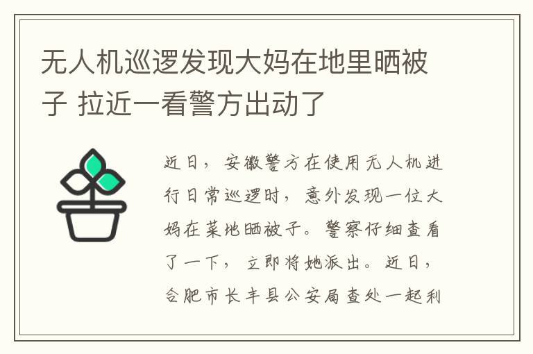 無人機巡邏發(fā)現(xiàn)大媽在地里曬被子 拉近一看警方出動了