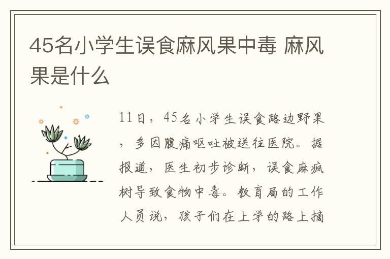 45名小學生誤食麻風果中毒 麻風果是什么