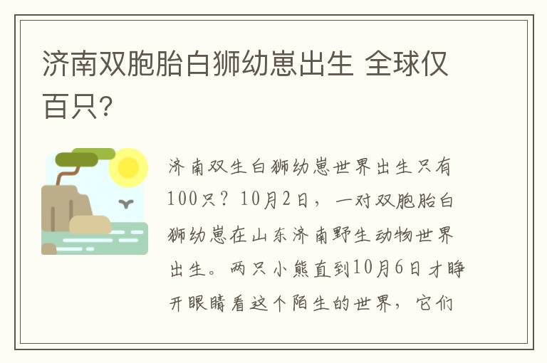 濟(jì)南雙胞胎白獅幼崽出生 全球僅百只?