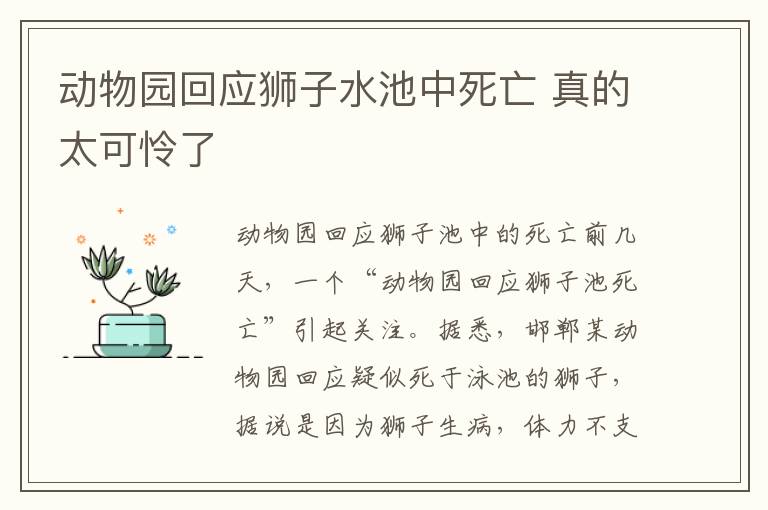 動物園回應(yīng)獅子水池中死亡 真的太可憐了