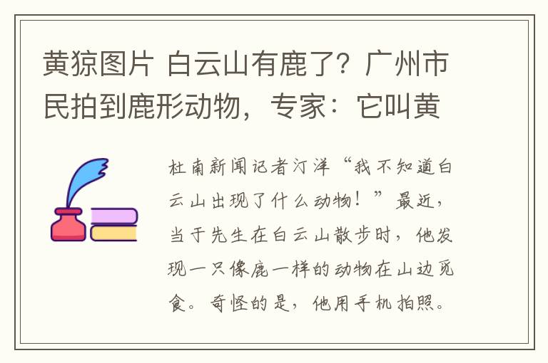 黃猄圖片 白云山有鹿了？廣州市民拍到鹿形動物，專家：它叫黃猄