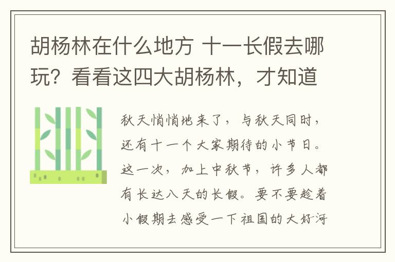 胡楊林在什么地方 十一長假去哪玩？看看這四大胡楊林，才知道什么是人間仙境