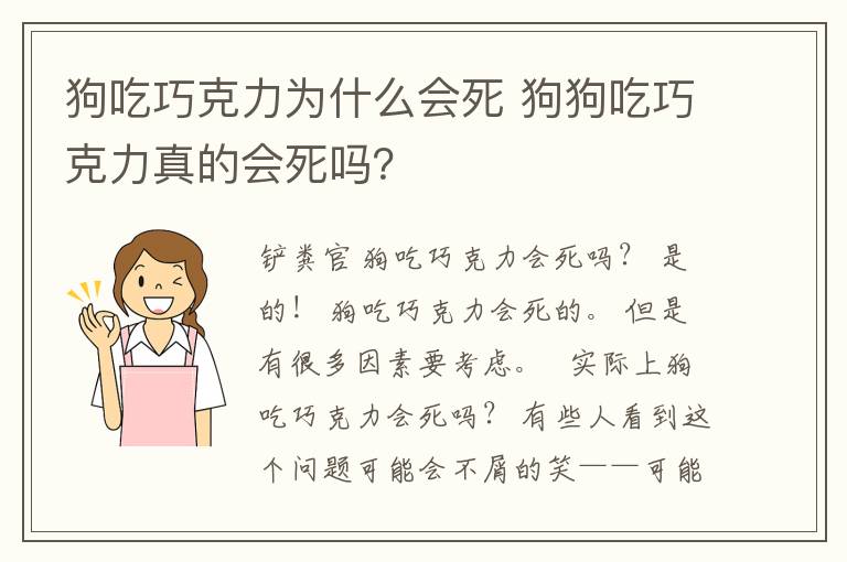 狗吃巧克力為什么會(huì)死 狗狗吃巧克力真的會(huì)死嗎？