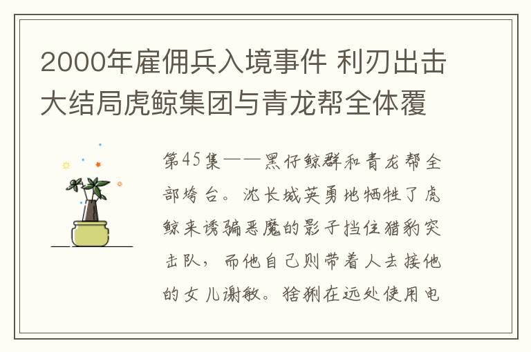 2000年雇傭兵入境事件 利刃出擊大結(jié)局虎鯨集團與青龍幫全體覆滅 沈長城壯烈犧牲附全集劇情