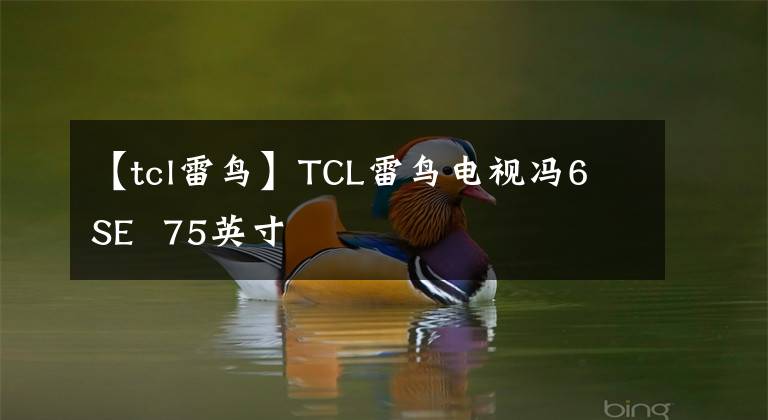 【tcl雷鳥(niǎo)】TCL雷鳥(niǎo)電視馮6 SE 75英寸