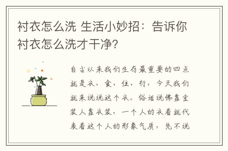 襯衣怎么洗 生活小妙招：告訴你襯衣怎么洗才干凈？