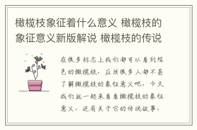 橄欖枝象征著什么意義 橄欖枝的象征意義新版解說 橄欖枝的傳說與緣由