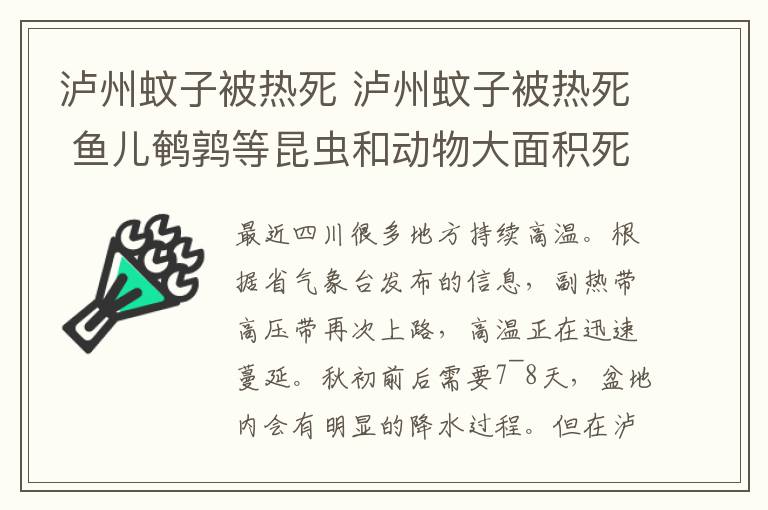 瀘州蚊子被熱死 瀘州蚊子被熱死 魚兒鵪鶉等昆蟲和動物大面積死亡