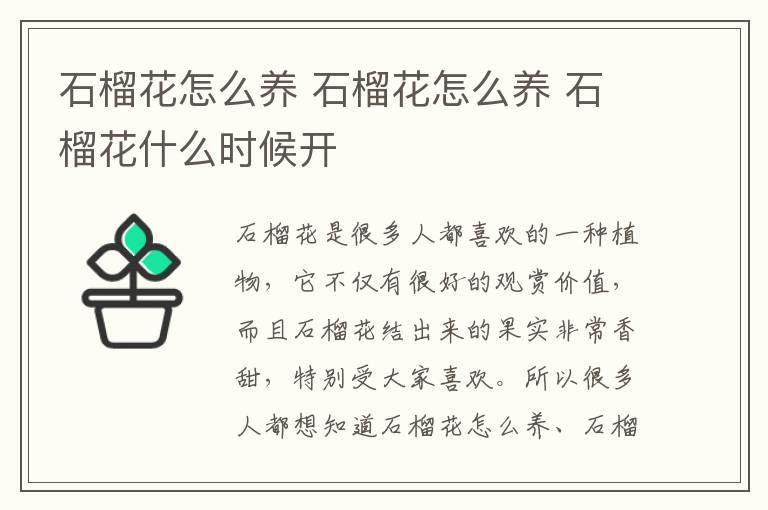 石榴花怎么養(yǎng) 石榴花怎么養(yǎng) 石榴花什么時候開