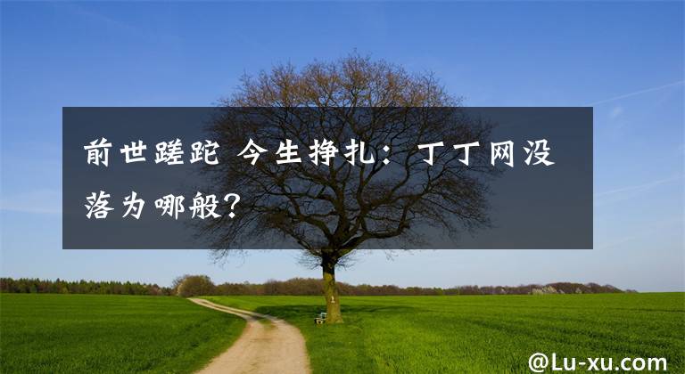 前世蹉跎 今生掙扎：丁丁網(wǎng)沒(méi)落為哪般？