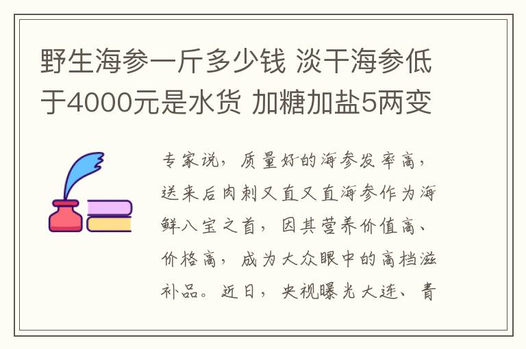 野生海參一斤多少錢 淡干海參低于4000元是水貨 加糖加鹽5兩變一斤