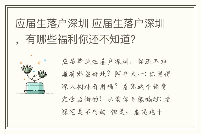 應(yīng)屆生落戶深圳 應(yīng)屆生落戶深圳，有哪些福利你還不知道？