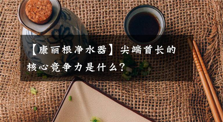 【康麗根凈水器】尖端首長(zhǎng)的核心競(jìng)爭(zhēng)力是什么？