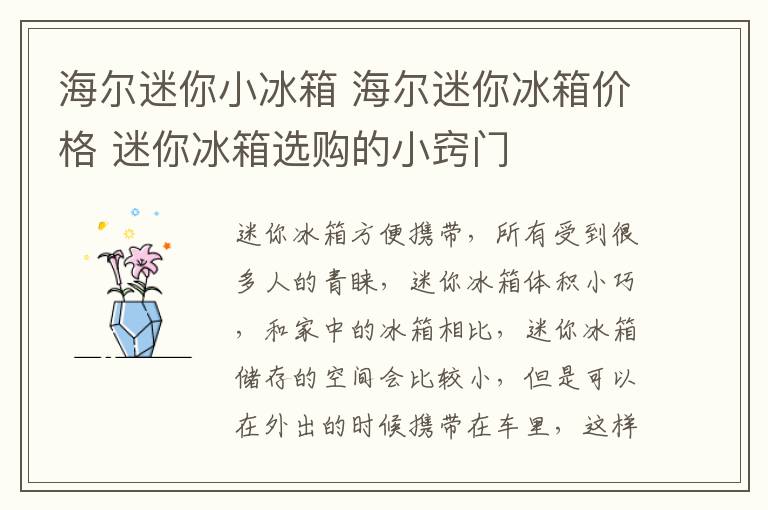 海爾迷你小冰箱 海爾迷你冰箱價(jià)格 迷你冰箱選購(gòu)的小竅門