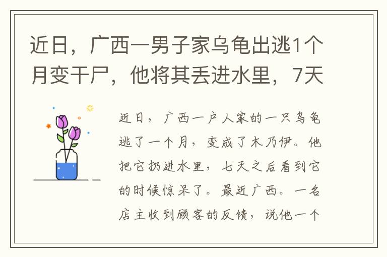 近日，廣西一男子家烏龜出逃1個(gè)月變干尸，他將其丟進(jìn)水里，7天后再看嚇了一跳。