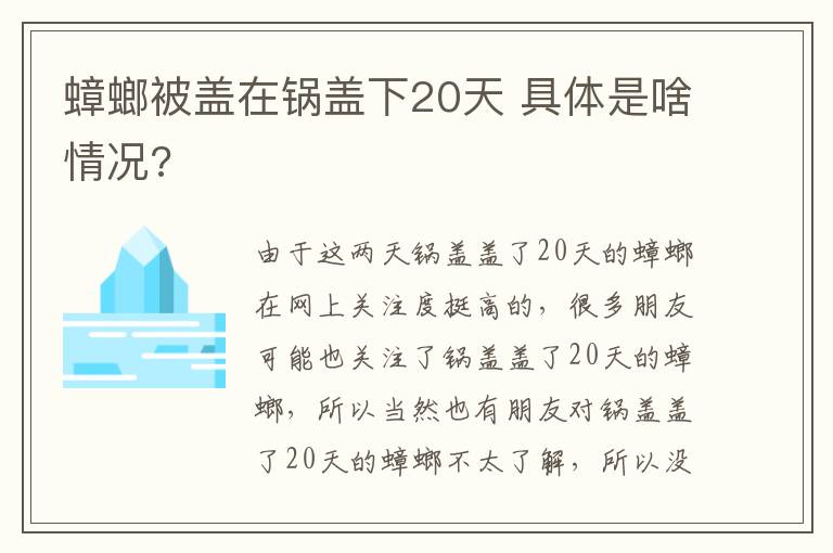 蟑螂被蓋在鍋蓋下20天 具體是啥情況?