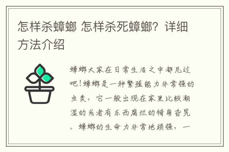 怎樣殺蟑螂 怎樣殺死蟑螂？詳細(xì)方法介紹