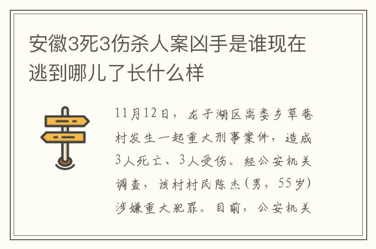 安徽3死3傷殺人案兇手是誰現(xiàn)在逃到哪兒了長什么樣