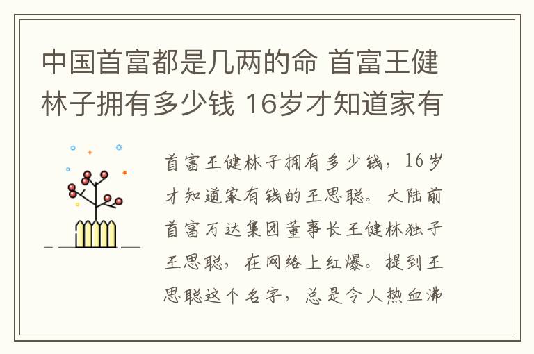 中國首富都是幾兩的命 首富王健林子擁有多少錢 16歲才知道家有錢的王思聰