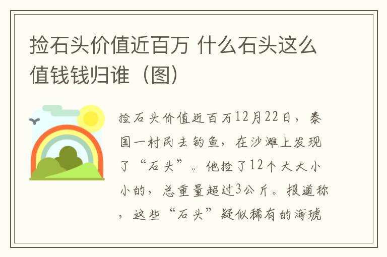 撿石頭價值近百萬 什么石頭這么值錢錢歸誰（圖）