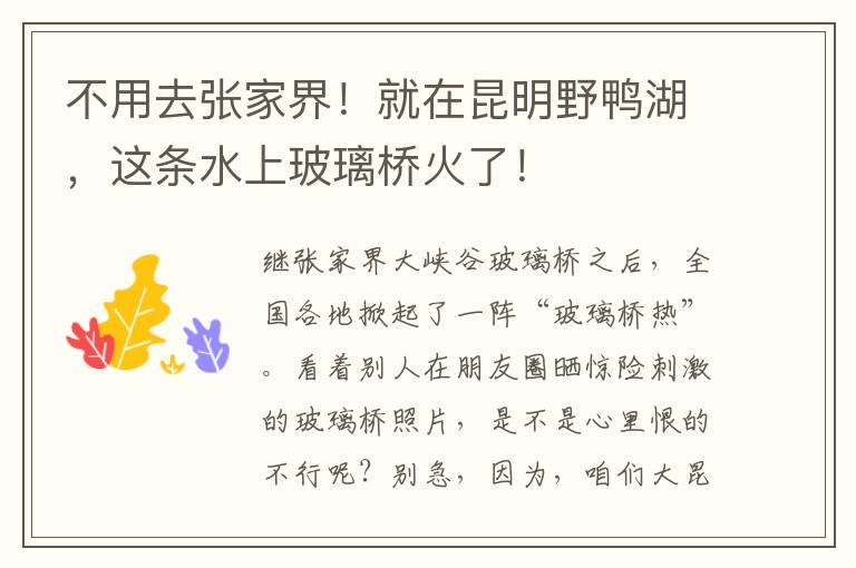 不用去張家界！就在昆明野鴨湖，這條水上玻璃橋火了！