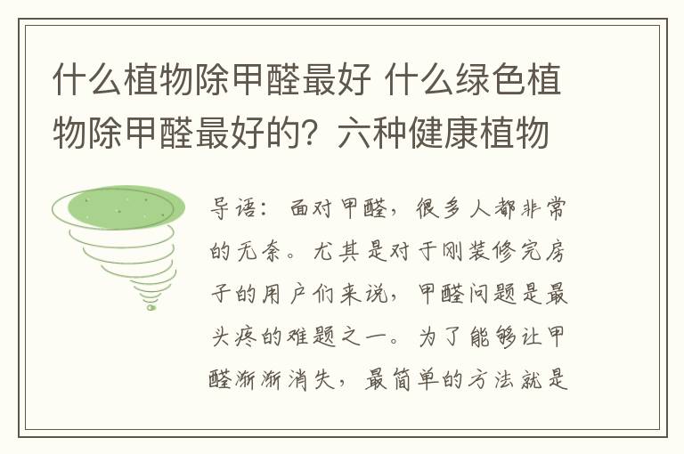 什么植物除甲醛最好 什么綠色植物除甲醛最好的？六種健康植物推薦