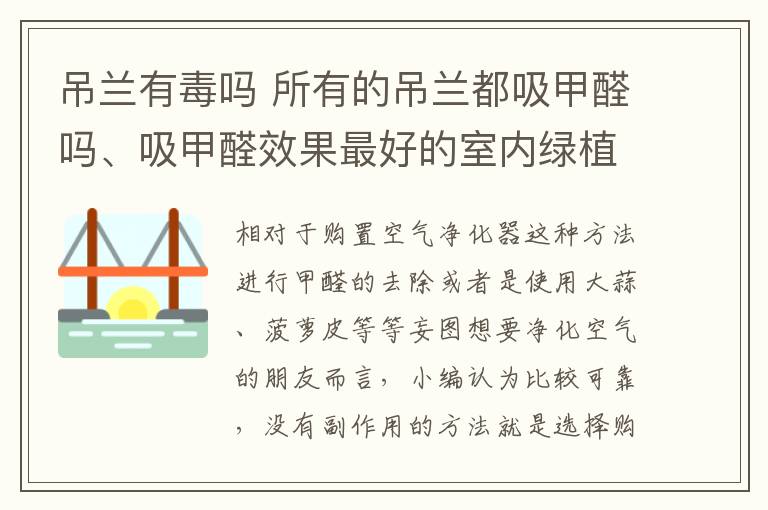 吊蘭有毒嗎 所有的吊蘭都吸甲醛嗎、吸甲醛效果最好的室內(nèi)綠植