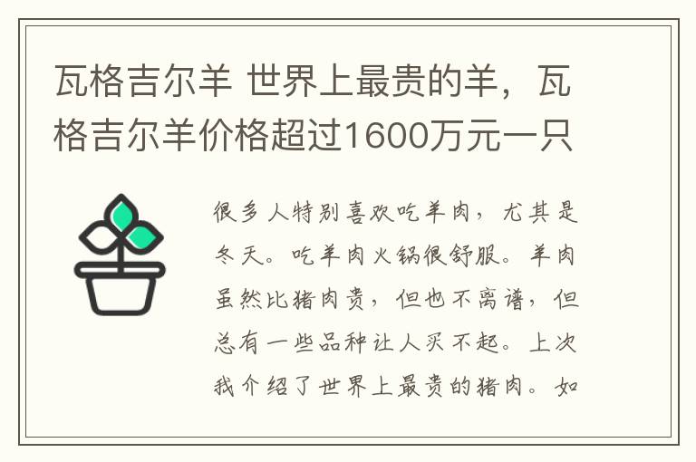 瓦格吉爾羊 世界上最貴的羊，瓦格吉爾羊價格超過1600萬元一只