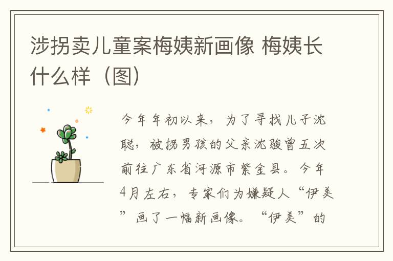 涉拐賣兒童案梅姨新畫像 梅姨長什么樣（圖）