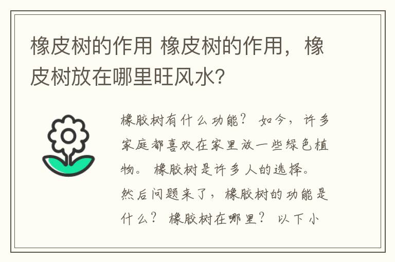 橡皮樹的作用 橡皮樹的作用，橡皮樹放在哪里旺風(fēng)水？