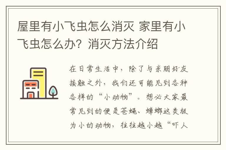 屋里有小飛蟲(chóng)怎么消滅 家里有小飛蟲(chóng)怎么辦？消滅方法介紹