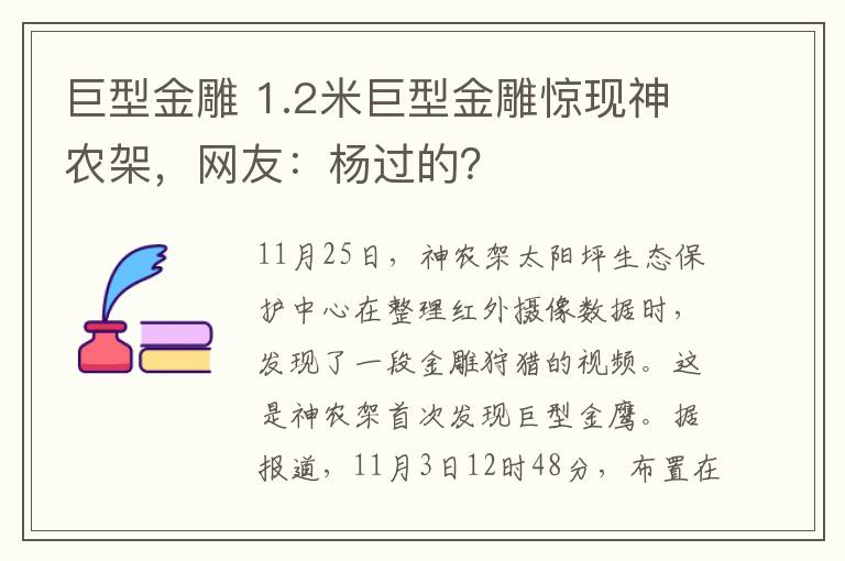 巨型金雕 1.2米巨型金雕驚現神農架，網友：楊過的？