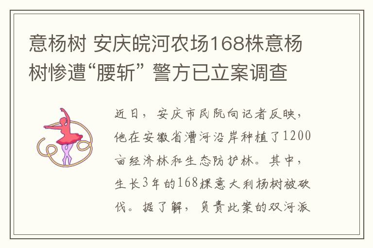 意楊樹 安慶皖河農(nóng)場168株意楊樹慘遭“腰斬” 警方已立案調(diào)查