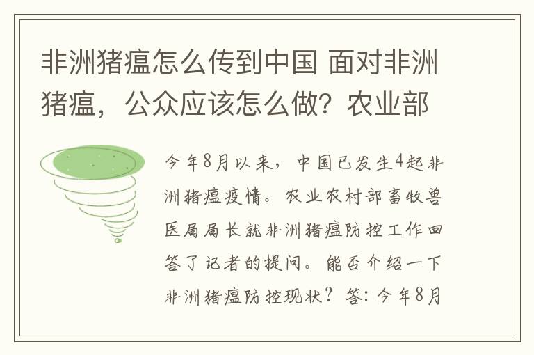 非洲豬瘟怎么傳到中國 面對非洲豬瘟，公眾應(yīng)該怎么做？農(nóng)業(yè)部答問來了