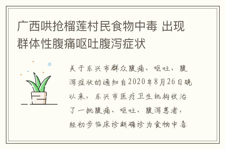 廣西哄搶榴蓮村民食物中毒 出現(xiàn)群體性腹痛嘔吐腹瀉癥狀