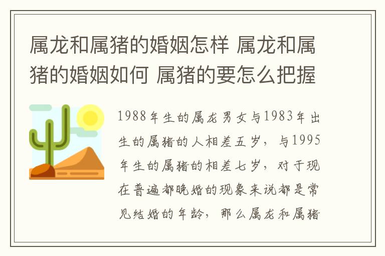 屬龍和屬豬的婚姻怎樣 屬龍和屬豬的婚姻如何 屬豬的要怎么把握自己的婚姻!